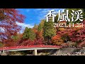 【夫婦登山】紅葉の香嵐渓ハイキング｜愛知県紅葉の名所