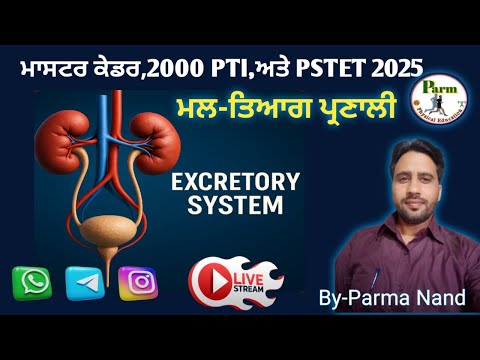 Live Class -4/Excretory System/ਮੂਤਰ ਤਿਆਗ ਪ੍ਰਣਾਲੀ/Master Cadre/2000 PTI/PSTET 2025/Free ਚ'ਤਿਆਰੀ ਕਰੋ/