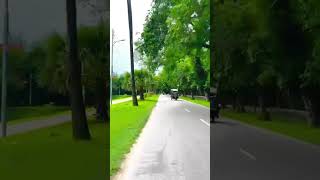 # চেনা পথগুলো কখনো কখনো অচেনা হয়ে যায় #nature #mircosoft