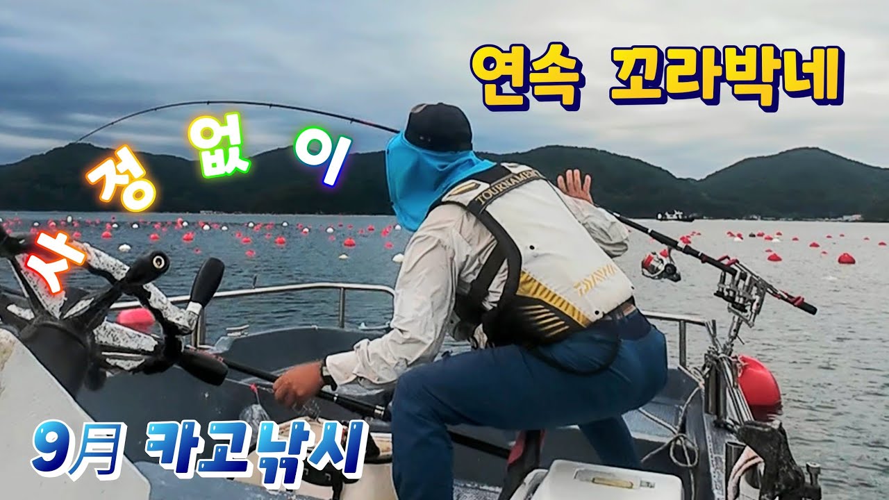 [통영로기] 439회 감성돔 덕분에 우당탕탕 많이 뛰어 다녔습니다