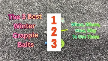 3 Best Winter Crappie Baits | When, Where, Why, And How To Use Them | Must Have Baits When Its Cold
