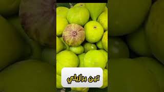 منتجاتنا