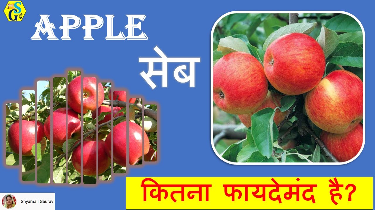 Apple khane ke fayde सेब के औषधीय गुण Apple Nutrition Facts and