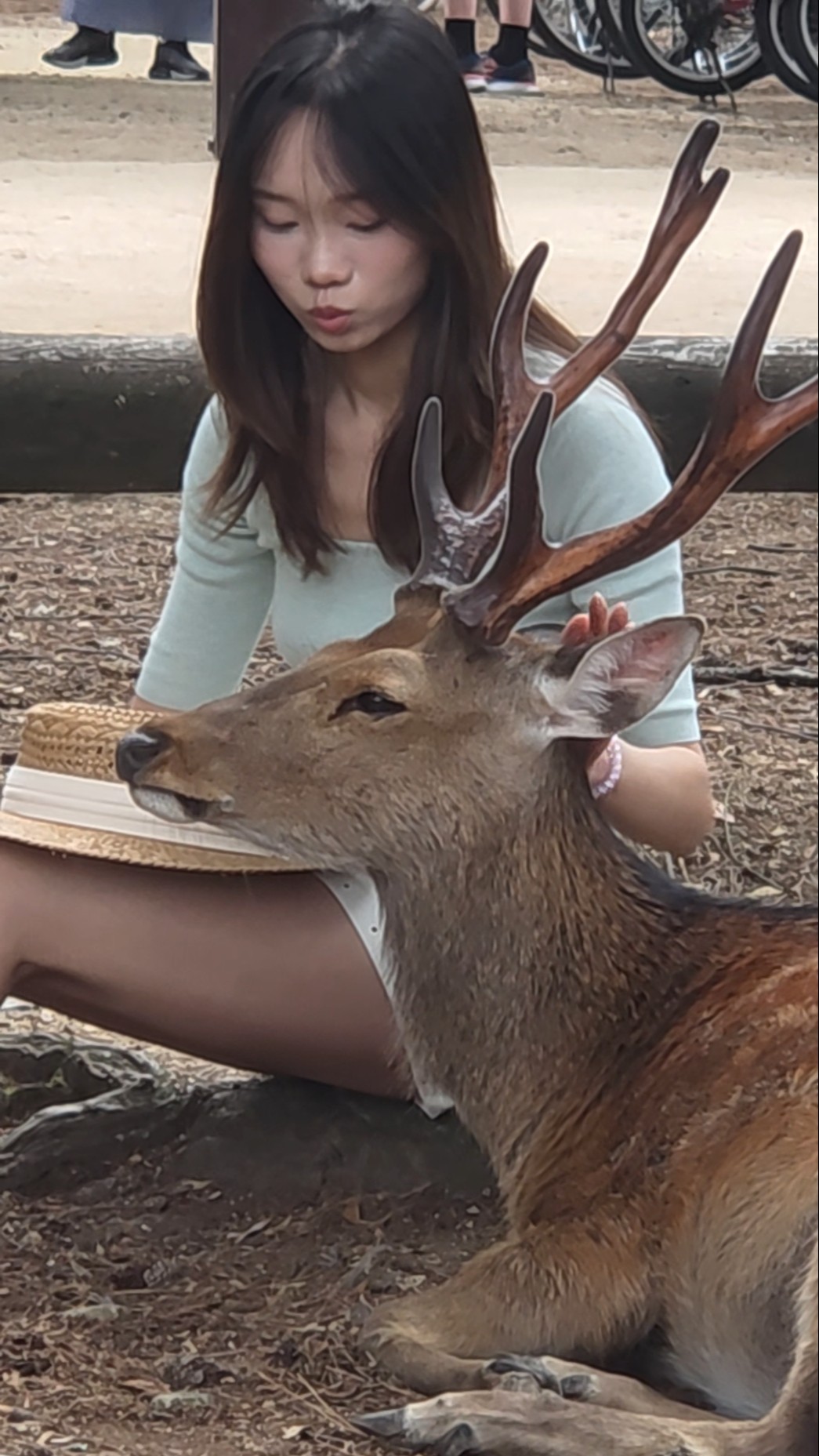 鹿の隣に座った女の子…その後の出来事が感動的すぎた！❤️#NaraPark