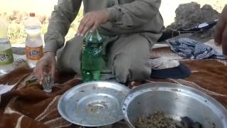 a journey of hunting wild birds in egyption desert with my friends elababda screenshot 5