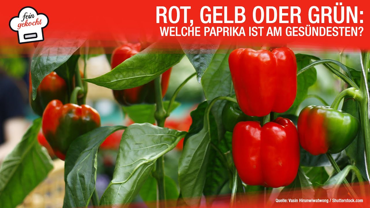 Welcher Paprika Ist Am Gesndesten