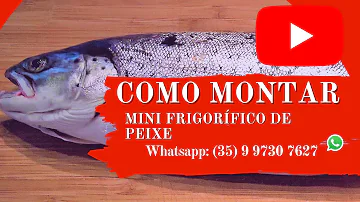 Como montar um pequeno frigorífico de peixe?