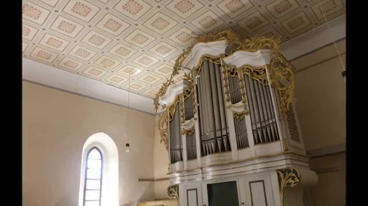 The Samuel Maetz Organ (1805) from Kleinschenk/ Ci...