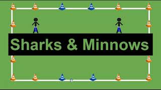 Elementary P.E. Games: Sharks & Minnows (Flags)