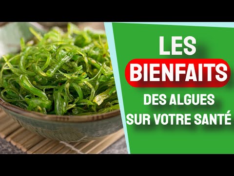 Vidéo: Les Bienfaits Des Algues