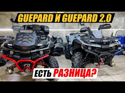 Стелс Гепард - все о новой версии 2.0 TE, PE, EX. Подготовка платформы для «Guepard 1000»