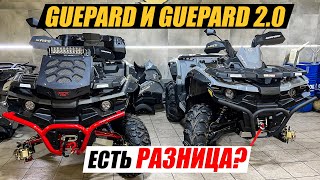 Стелс Гепард - все о новой версии 2.0 TE, PE, EX. Подготовка платформы для «Guepard 1000»