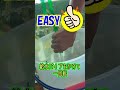 【プロが伝授】水草水槽の水換えを極める裏技3選！　#shorts #水草水槽 #アクアリウム #熱帯魚初心者