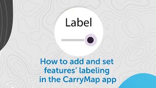 How to add and set features’ labeling in the CarryMap app screenshot 3