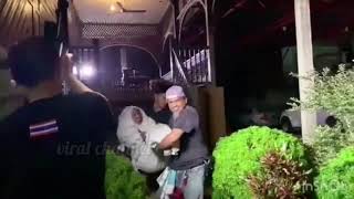 Uqasha Senrose Kena Denda - Drama Malam Tahlil Suhaila Balik