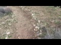 Running in Puma Canyon, Pinon Hills, Ca