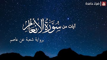 تلاوة هادئة من سورة الأنعام برواية شعبة عن عاصم | #ضياء_حامدة