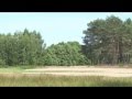 Bory Tucholskie 2013 480p 
