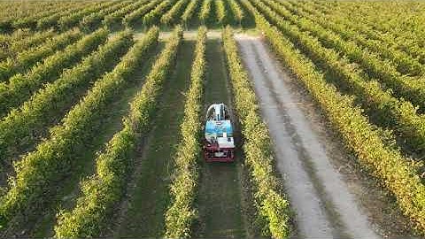 Intelligent Autonomy for Vineyards: Rovitis 4.0 – Software in Action on a Wheeled Robot