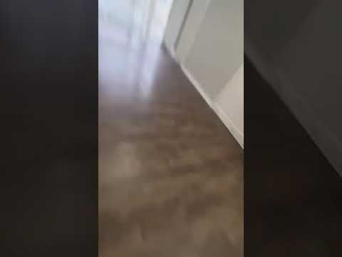 50 webb b3, Hammond, IN home video tour