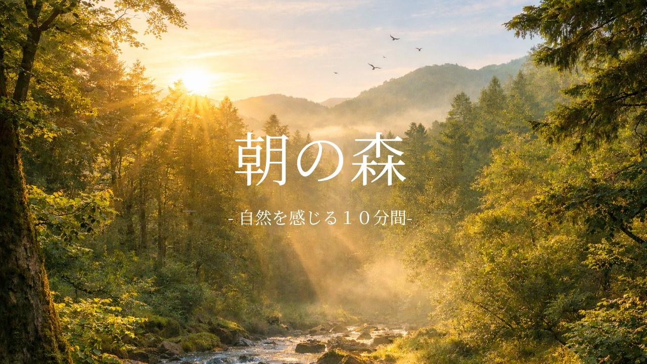 【自然音BGM】10分でリフレッシュする朝の森  |  作業・リラックス用
