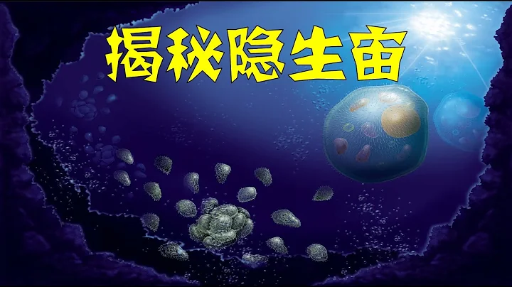 8亿年前，真核生物冠群的逆袭：隐生宙中复杂生命的失落世界 - 天天要闻