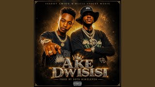 Ake Dwisisi (feat. Dlala Specks Music)