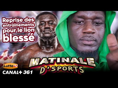 Direct Balla Gaye 2 Reprend Les Entraînements Quel Plan De Relance Pour Le Lion De Guédiawaye 
