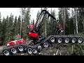 Amazing Fastest Skill Chainsaw Tree Cutting Tractor Machines, Big Felling Tree Heavy Equipment