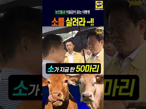 소를 살려라, 농민들 한분 한분 하소연 현장 해결 !! #이재명 #대통령 #현장 #홍수