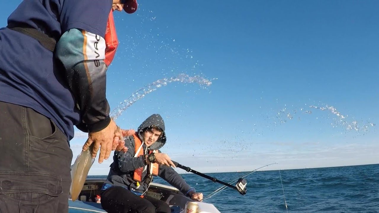 SQUIRTING SQUID!  FISHING FOR DINNER Catch Clean n Cook Cuttlefish