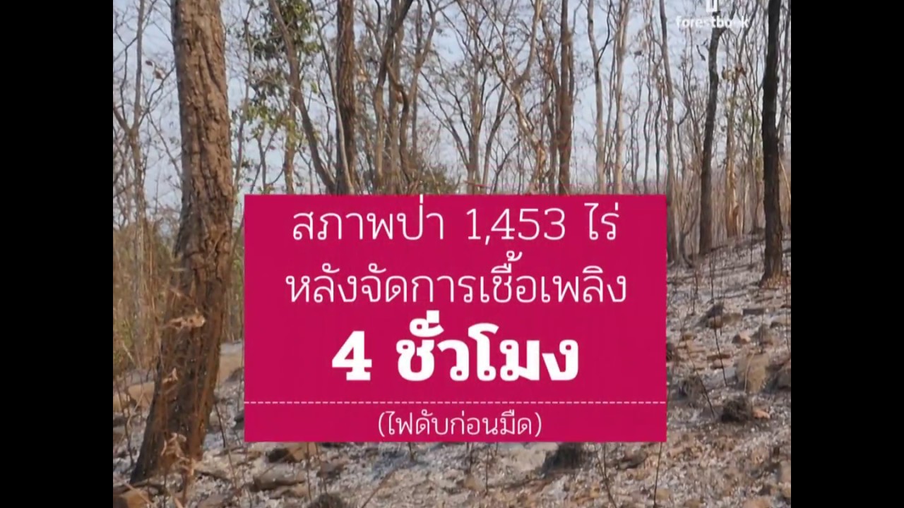 camera iphone 8 plus apk Forestbook EP35 : ชิงเผาอย่างเป็นระบบ - การจัดการไฟป่าในสถานการณ์หมอกควันภาคเหนือ