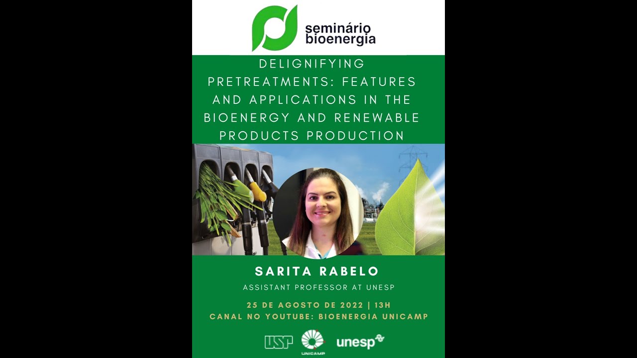 Delignifying pretreatmensts: Features and applications in the bioenergy products production