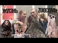 Жизнь ZOOCOMa. Все новости о дикобразах, сурикатах, АЛК, обезьянках и т.д.