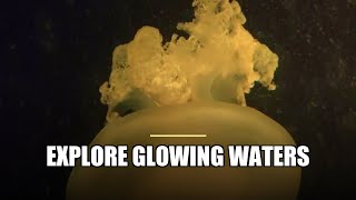 Paddle Through Bioluminescent Mangroves
