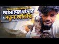 বাছুরের দুষ্টুমি আর খামারের গল্প 🐄✨ | My Farm Life Journey