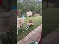 Enjoying a bone!