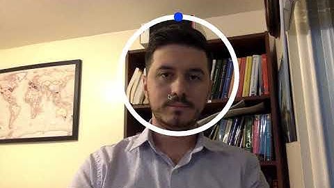 Head Pose Direction Estimation - Nevi Kaja