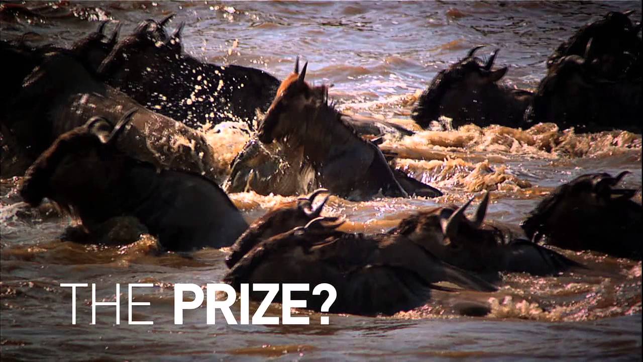 camera iphone 8 plus apk Wild to Inspire - Short Film Competition