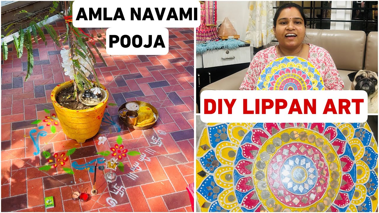 मेरी आंवला नवमी पूजा VLOG 🪴🙏🙏| DIY LIPPAN ART❤️❤️