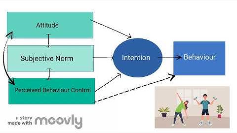 Theory of Planned Behaviour (Icek Ajzen, 1985, 1991) by Aimee Hansen
