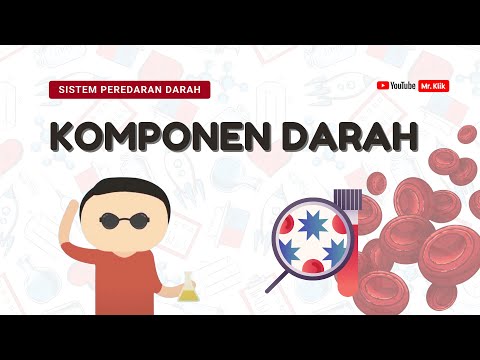 Video: Adakah sistem peredaran darah mengangkut utusan kimia?