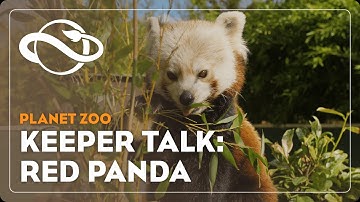 Planet Zoo | Keeper Talk | Red Panda