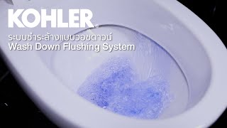Kohler Wash Down Flushing System