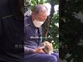 おじさんが子イノシシに出会ったら、まさか自ら家についてきた一不思議な縁#shorts #animals