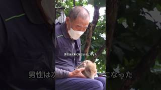 おじさんが子イノシシに出会ったら、まさか自ら家についてきた一不思議な縁#shorts #animals