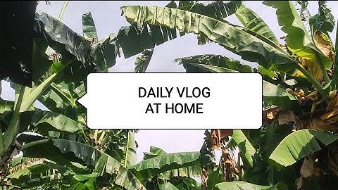 VLOG PEMANDANGAN DI RUMAH #vlog #dailyvlog
