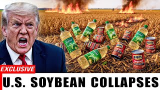 U.S. Soybean Export Collapse Sends 7 Essential Foods at Walmart &amp; Costco Into Price Shock