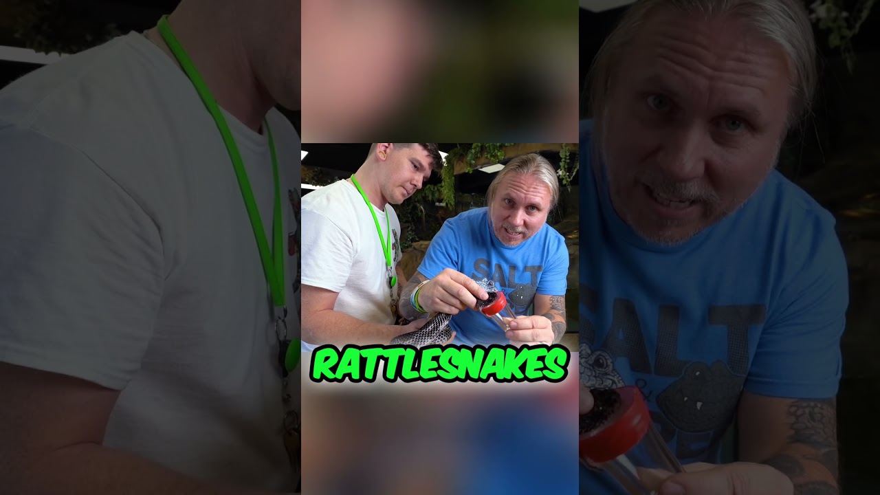 Brian Barczyk's Intense Snake Venom Extraction!!