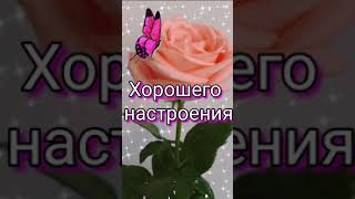 Приветик 🌹 Музыкальная Открытка